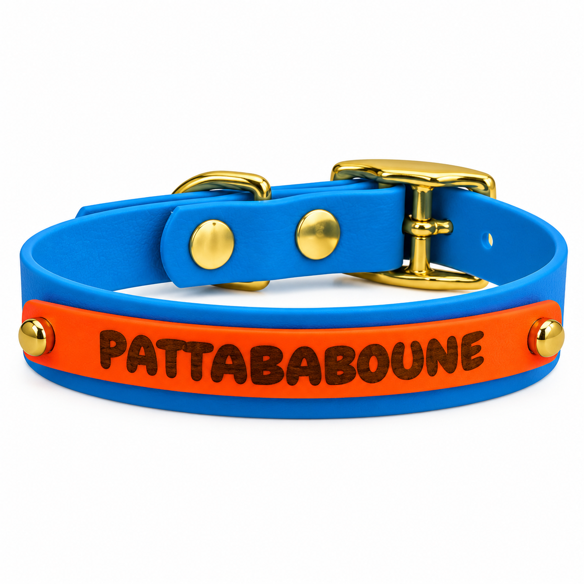 Collier chien Biothane personnalisé Végas 16 mm à bande interchangeable