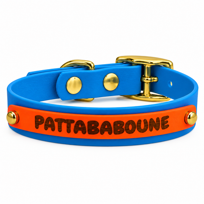 Collier chien Biothane personnalisé Végas 16 mm à bande interchangeable
