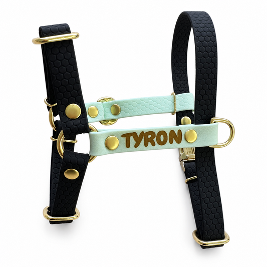 Harnais en H personnalisé pour chien et chat - Hexa 16 mm