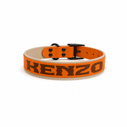 Collier biothane chien personnalisé 38 & 25 mm | Gravure laser | Spécial King