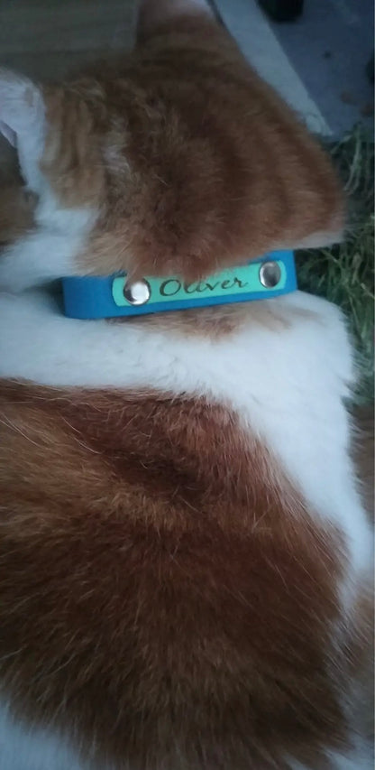 Collier personnalisé pour chien et chat - Hexa 16 mm - Spéciale Pattababoune
