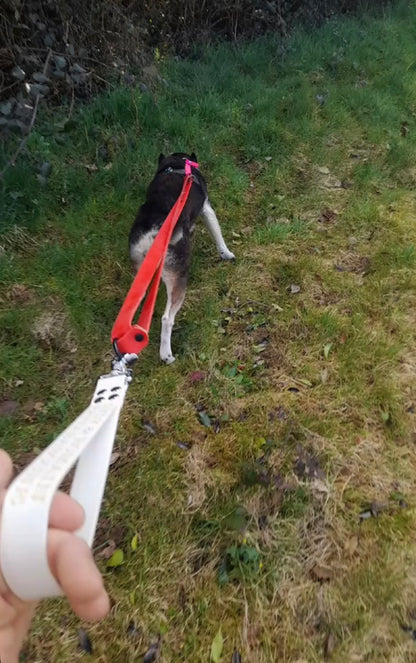 Poignée personnalisée pour chien en biothane 25 mm