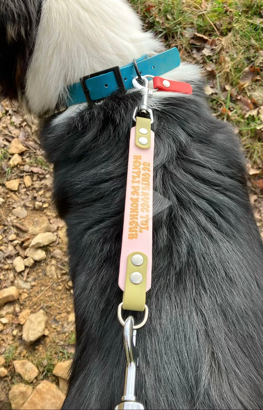 Extension de laisse avec message personnalisé en biothane 38 mm