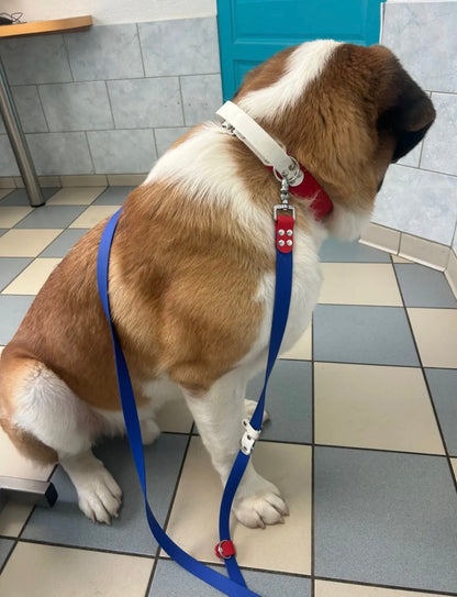 Laisse multiposition personnalisée pour chien - Biothane 25 mm