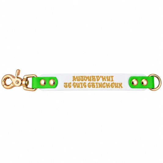 Biothane 25 mm extension leash with custom message