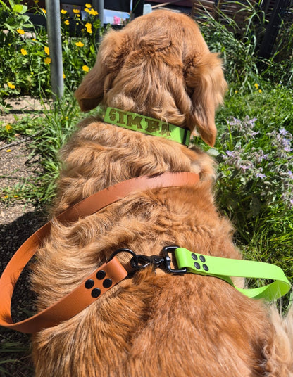 Poignée personnalisée pour chien en biothane 25 mm