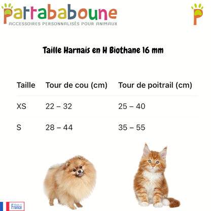 Harnais en H personnalisé en biothane 16 mm - ajustable & ultra confortable