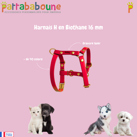 Harnais en H personnalisé en biothane 16 mm - ajustable & ultra confortable