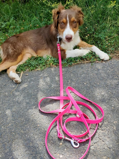 Laisse multiposition personnalisée en hexa 16 mm