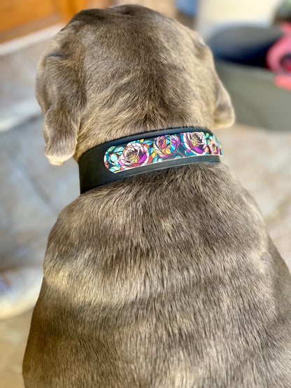 Collier chien Biothane personnalisé - Bande interchangeable 38 & 25 mm - Modèle Végas