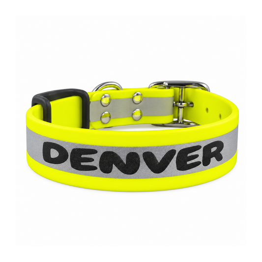 Personalized Reflective Biothane Dog Collar 25 mm - Laser Engraved