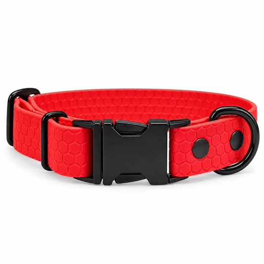 Collier chien personnalisé – Clip sécurisé – Hexa 25 mm