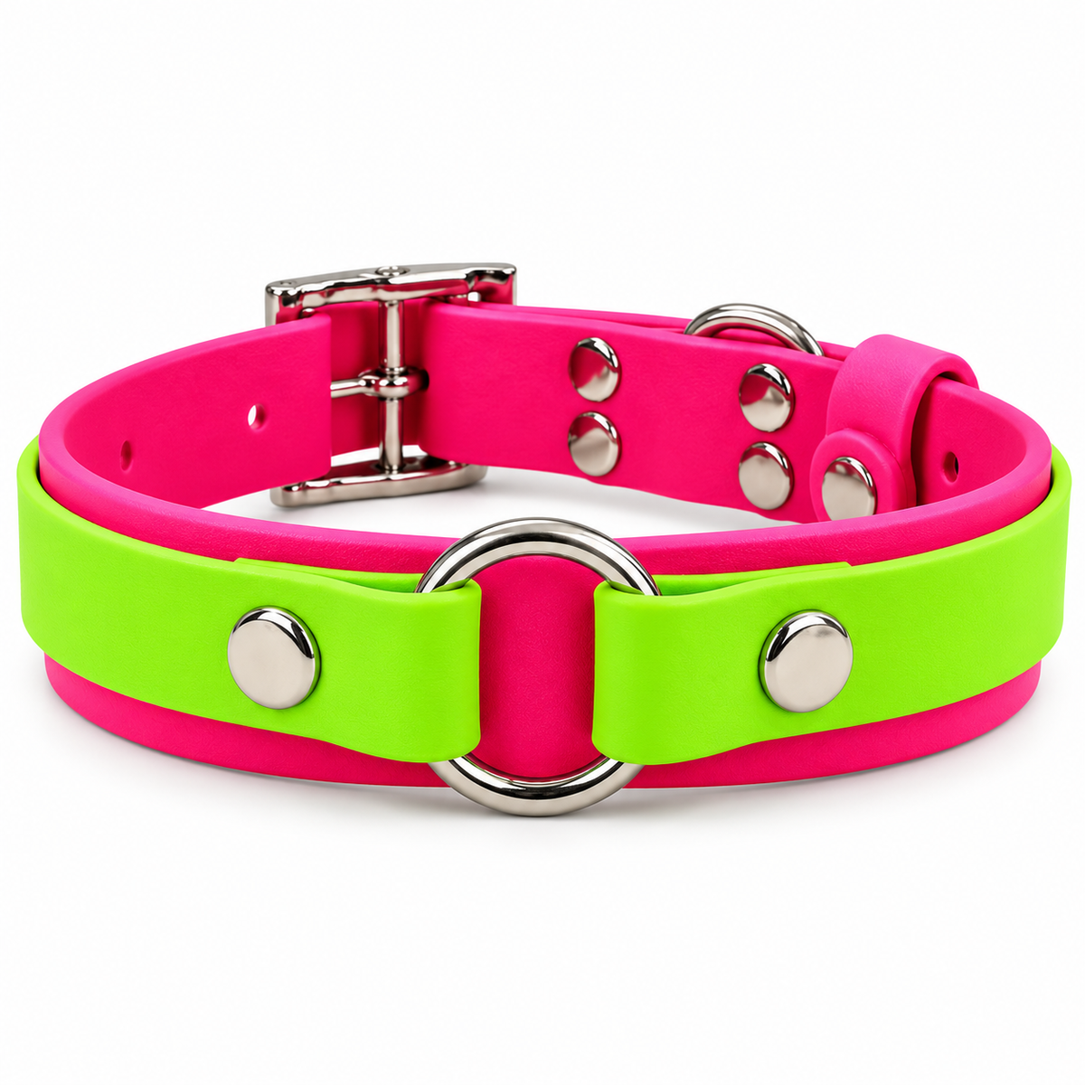 Collier chien Biothane personnalisé - LAS VEGAS 25 mm