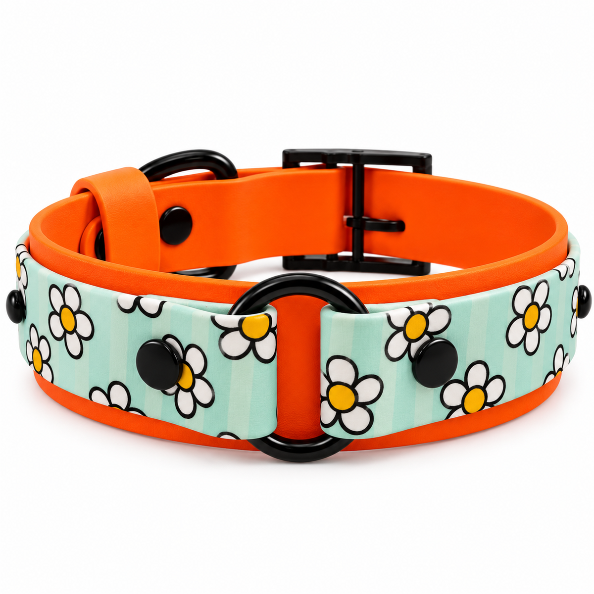 Collier chien Biothane personnalisé - LAS VEGAS 38 mm