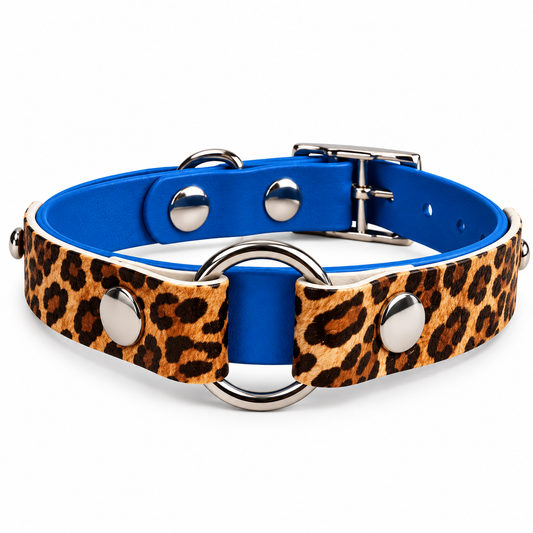 Collier chien Biothane personnalisé - LAS VEGAS 16 mm