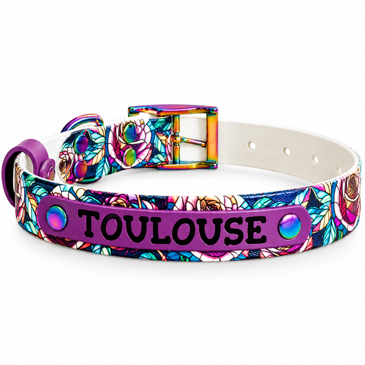 Collier chien personnalisé spéciale Pattababoune - Biothane Édition limitée 16 mm