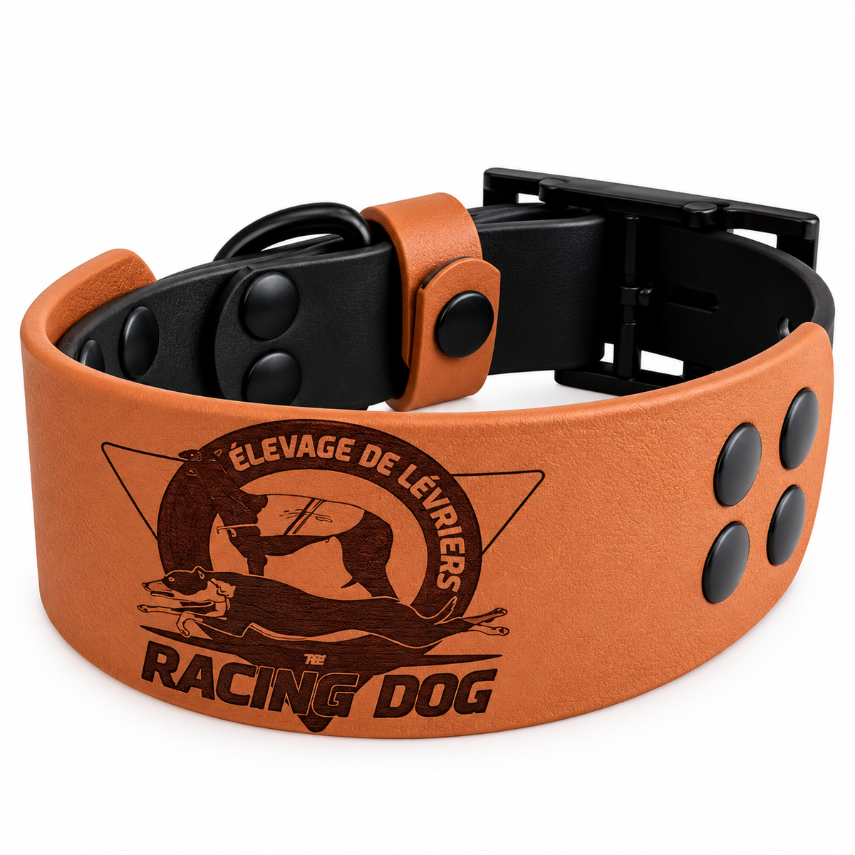 Collier lévrier whippet - Biothane 38 mm & 25 mm