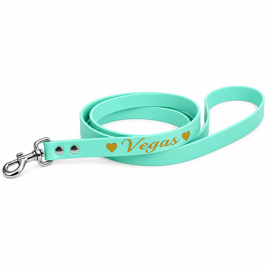 Laisse personnalisée chien & chat – Biothane, Hexa et TPU – 9, 16, 25 mm