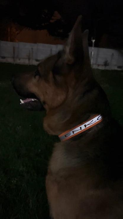 Collier réfléchissant personnalisé en biothane 25 mm
