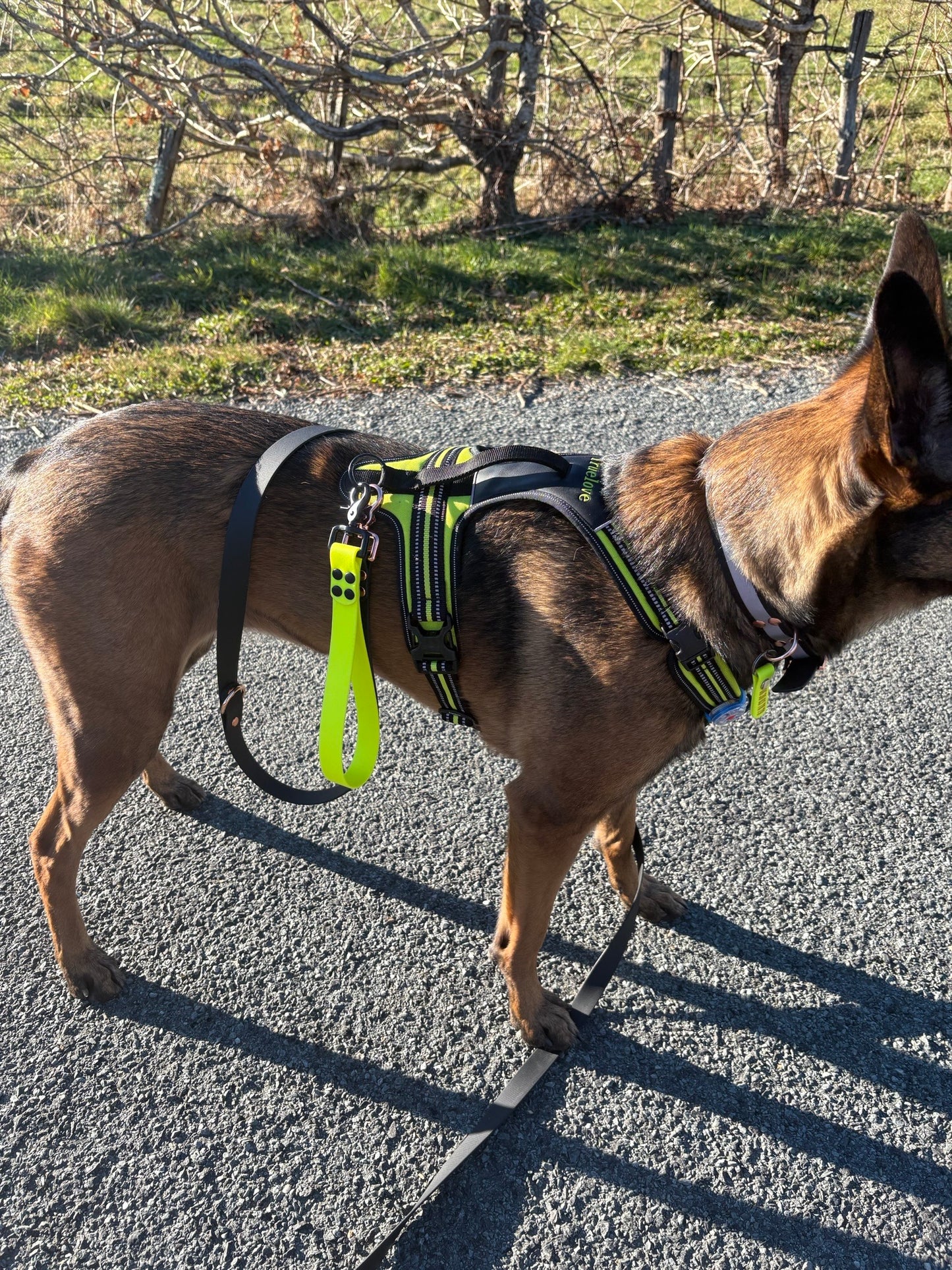 Poignée personnalisée pour chien en biothane 25 mm