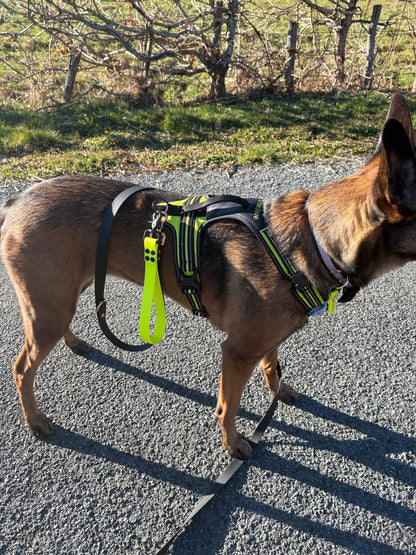 Poignée personnalisée pour chien en biothane 25 mm