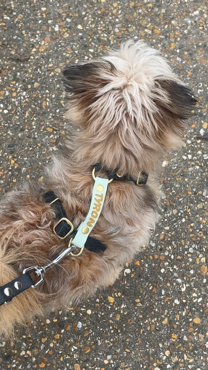 Harnais en H personnalisé pour chien en hexa 16 mm
