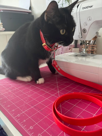 Collier personnalisé en TPU 16 mm