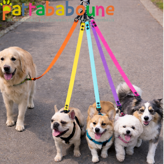Coupleur de laisse pour chiens 360° anti-nœud en Biothane – Triple, Quadruple et Quintuple – Pattababoune