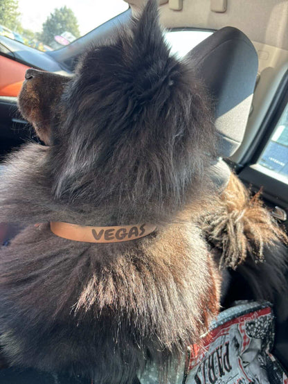 Collier personnalisé en TPU 16 mm