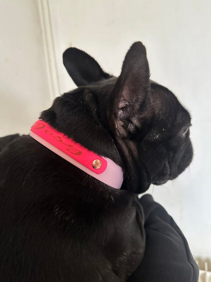 Collier personnalisé spécial Pattababoune en biothane 25 mm