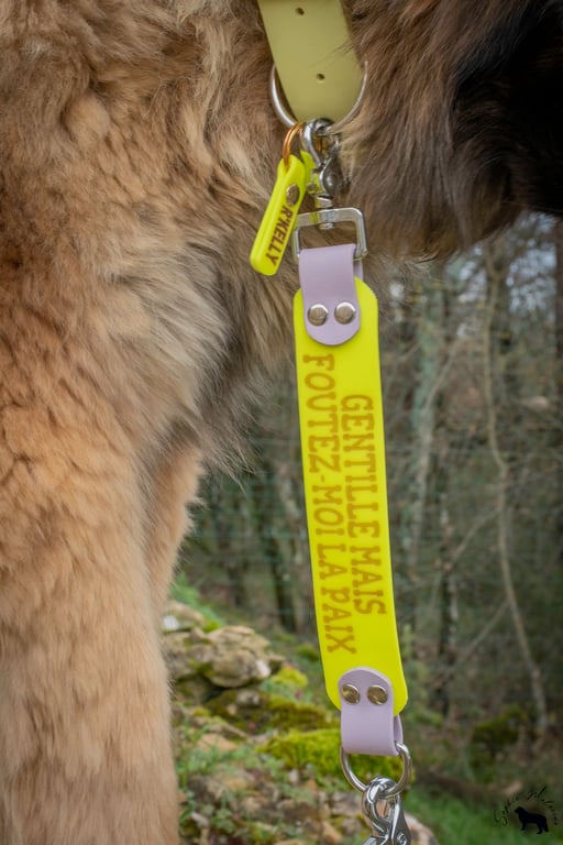 Extension de laisse avec message personnalisé en biothane 38 mm