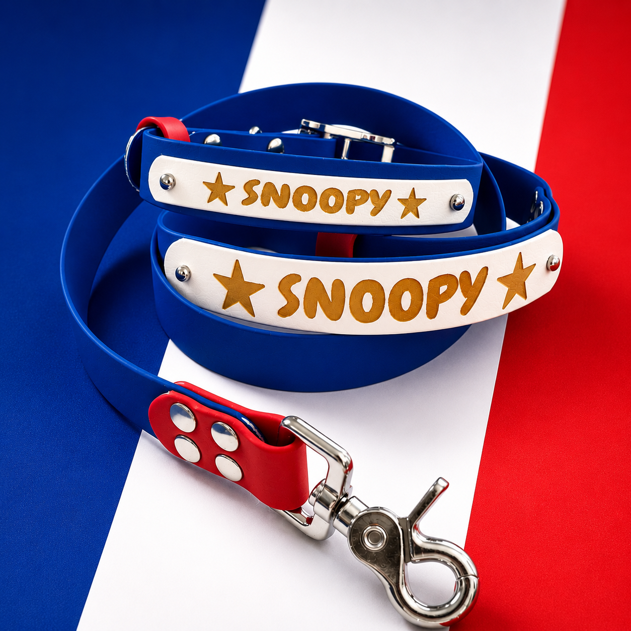 Collier chien TPU & hexa personnalisé - Bande interchangeable 25 & 16 mm - Modèle Végas