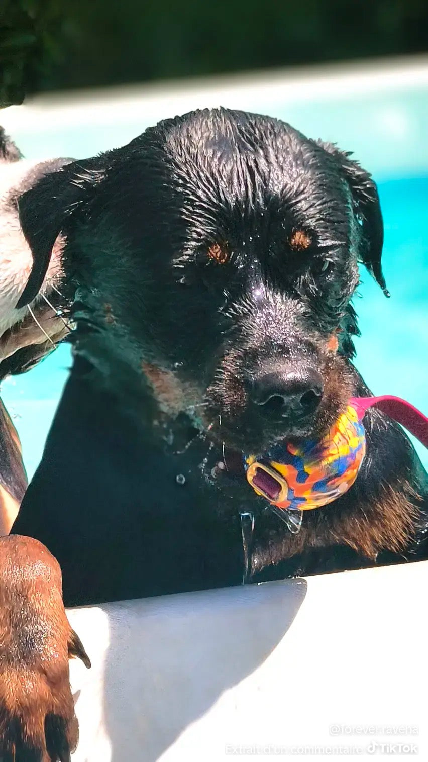 Balle flottante Pattababoune pour chien bande en hexa - Lancer & jeux aquatiques