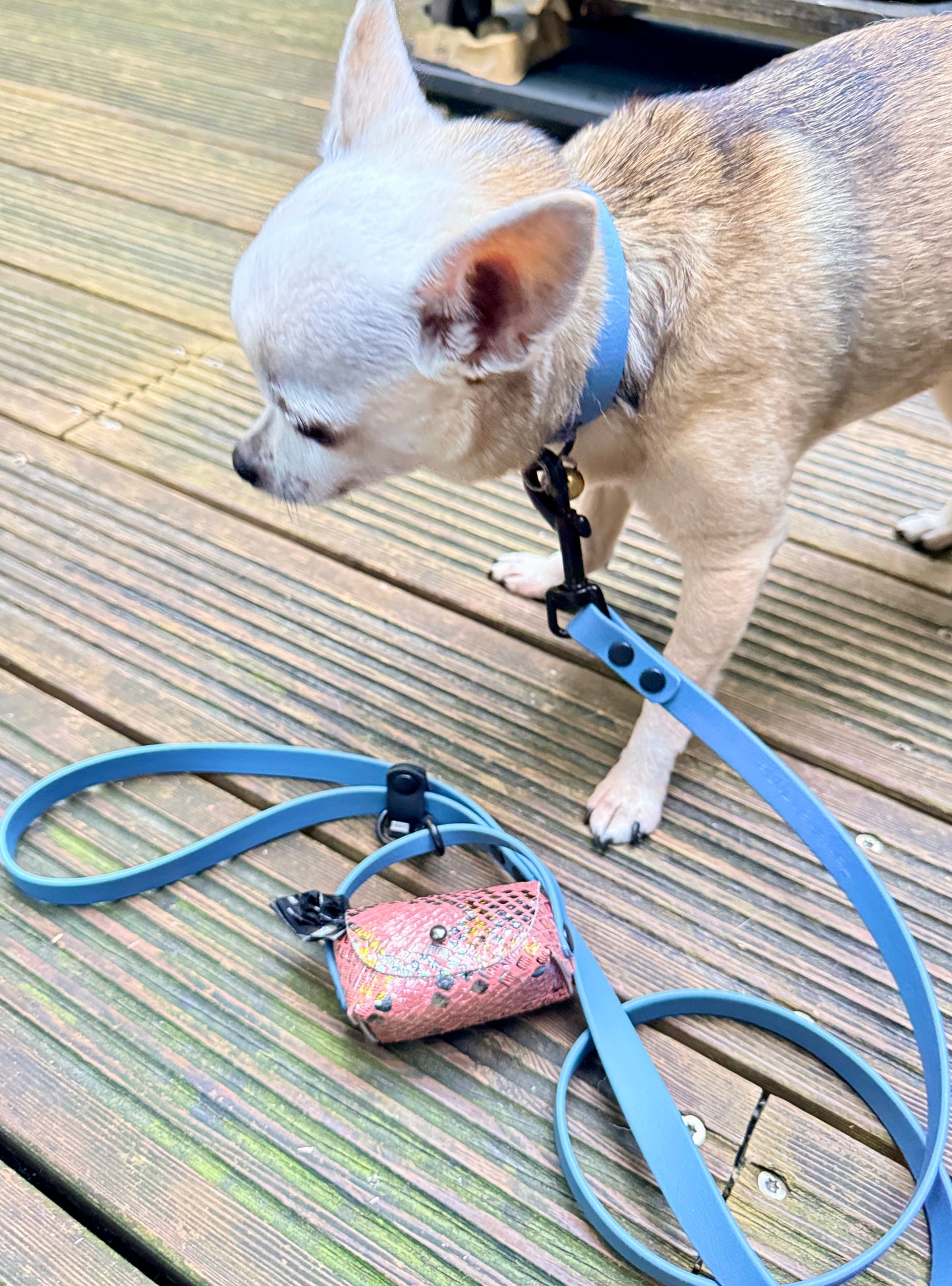 Laisse personnalisée chien & chat – Biothane, Hexa et TPU – 9, 16, 25, 38 mm