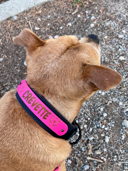 Personalized Biothane Dog Collar - Interchangeable 38 & 25 mm Strap - Vegas Model