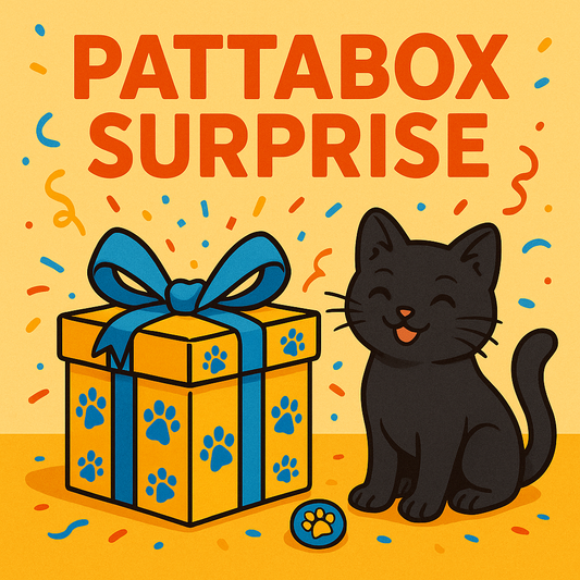 Pattabox surprise 🎁❓