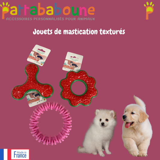 Jouet de mastication texturés pour chien
