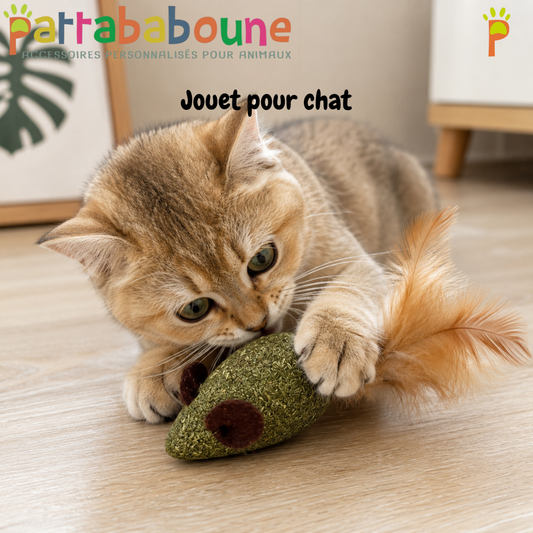 Jouet pour chat souris