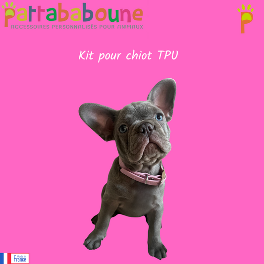 KIT chiot TPU - Collier, laisse, médaille & friandises personnalisés