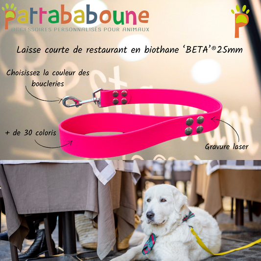 Laisse restaurant personnalisée pour chien en biothane 25mm