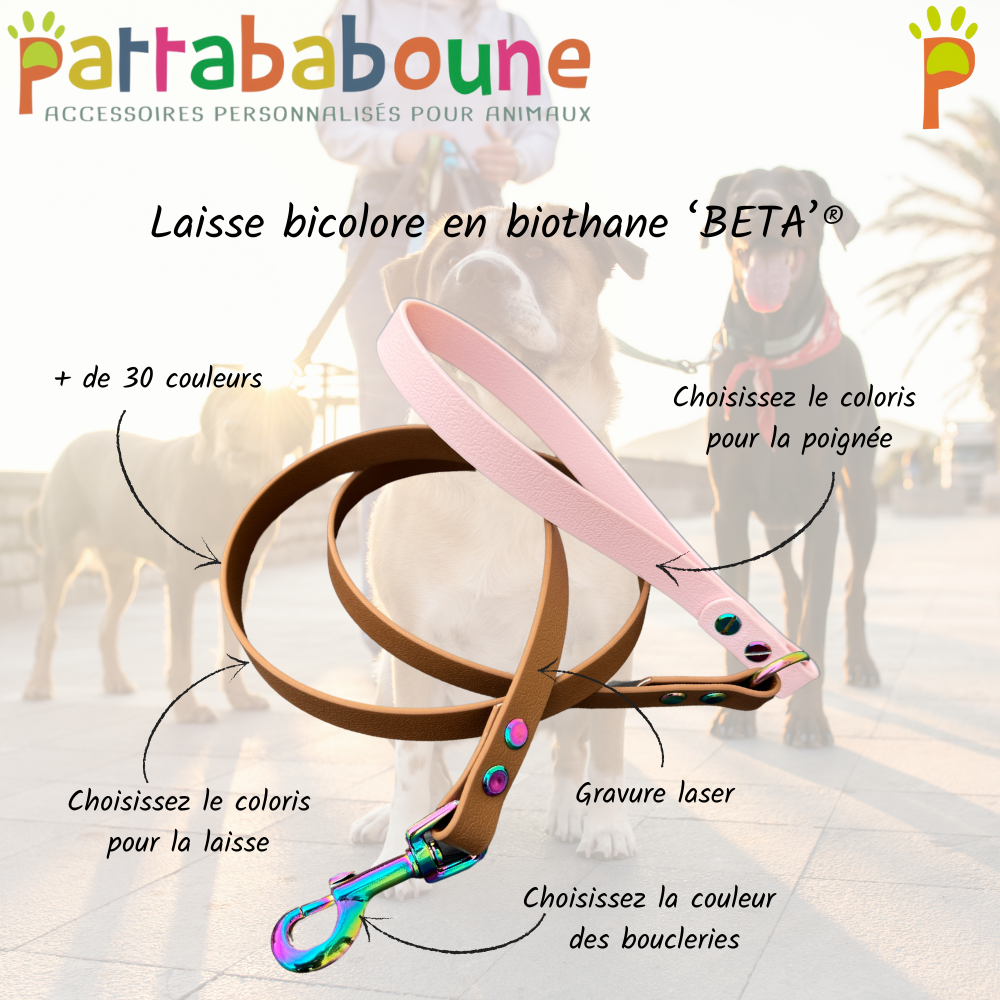 Laisse personnalisable bicolore en biothane 16mm