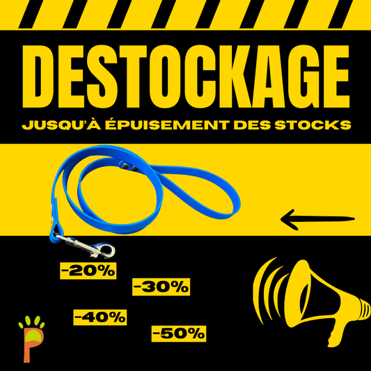 Laisse personnalisée en sangle enduite 16mm (déstockage)