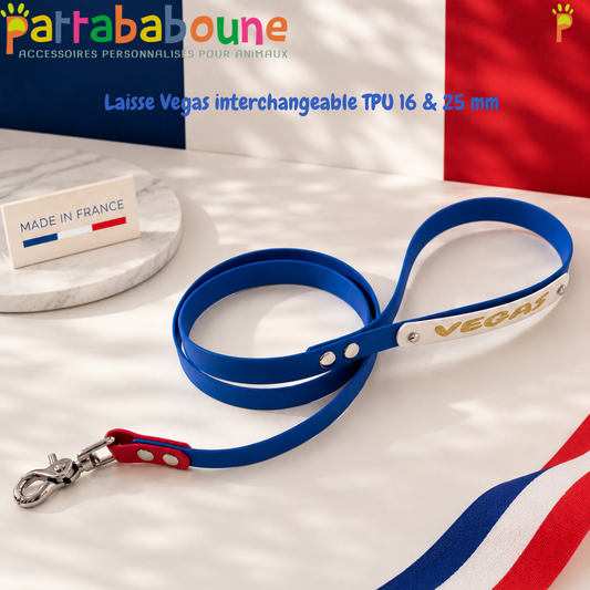 Laisse personnalisée TPU & Hexa - Collection Vegas 16 & 25 mm