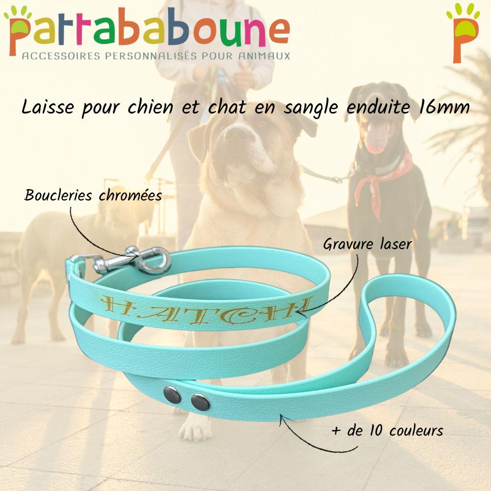 Laisse chien & chat personnalisée en sangle enduite 16mm