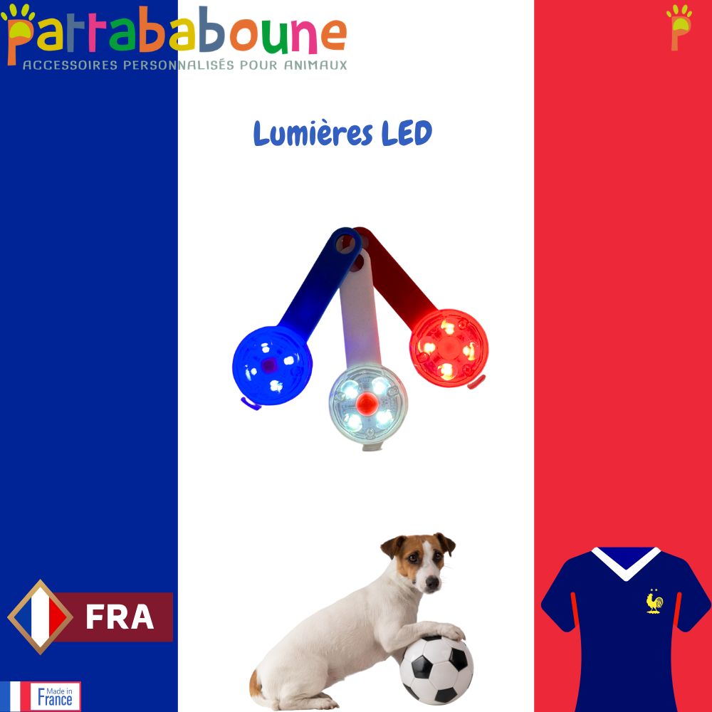 3 Lumières LED sécurité pour chien & chat