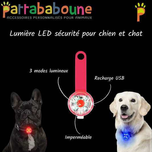 Lumière LED sécurité pour chien et chat