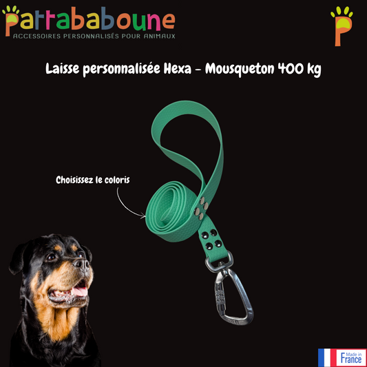 Laisse personnalisée Hexa 25 mm - Mousqueton sécurité 400 kg