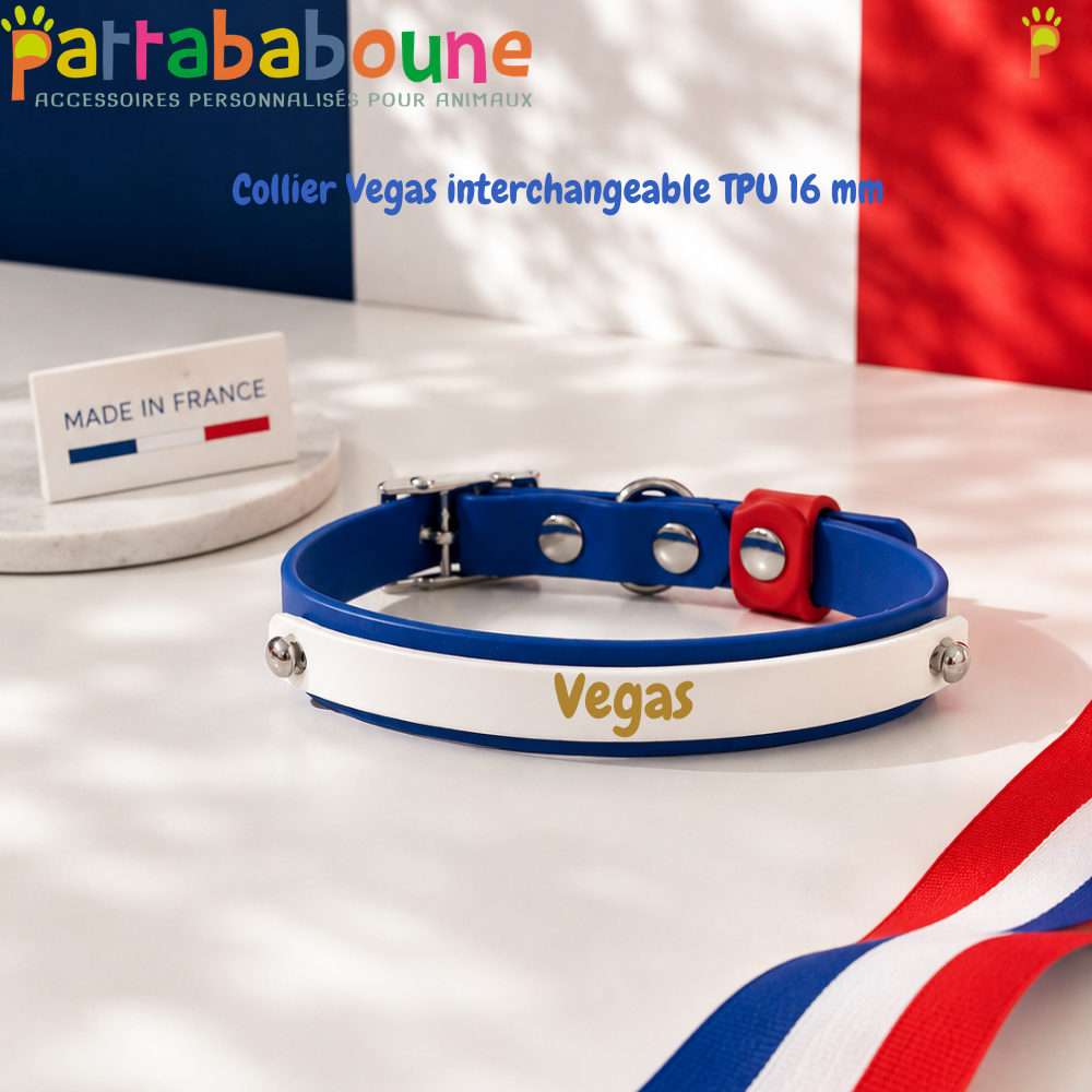Collier chien TPU & Hexa personnalisé - Bande interchangeable 16 & 9 mm - Modèle Végas