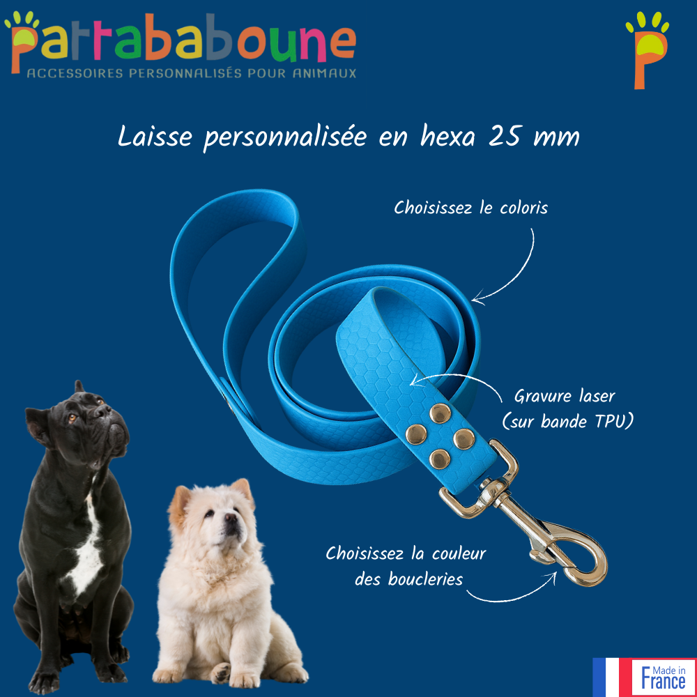 Laisse personnalisée en hexa 25 mm