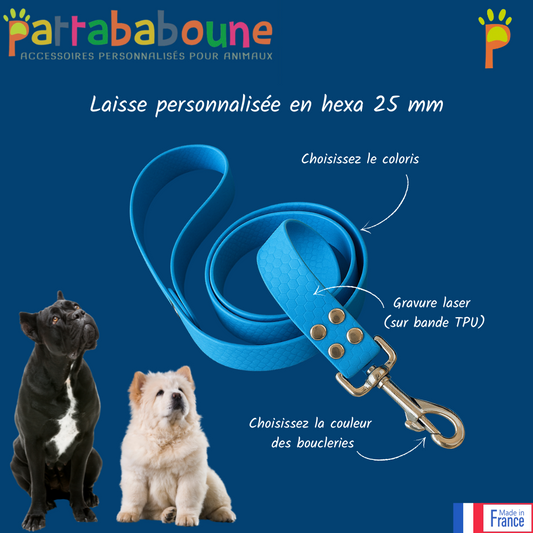 Laisse personnalisée en hexa 25 mm